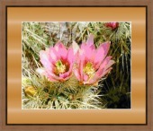 stress counter image healthtips images